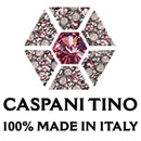 Logo Caspani Tino Group