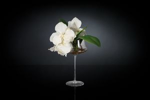 Eternity Coppa Minimes Vanda, Composizione floreale su calice in vetro