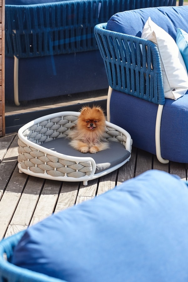 DOG BED, Mini sofa per cani, per uso esterno