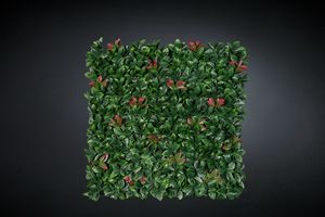 Photinia, Siepe artificiale