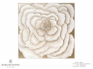 Rose, first dream  MT 492, Quadro con grande rosa bianca