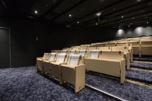 Sala cinema - Nave da crociera Viking Star