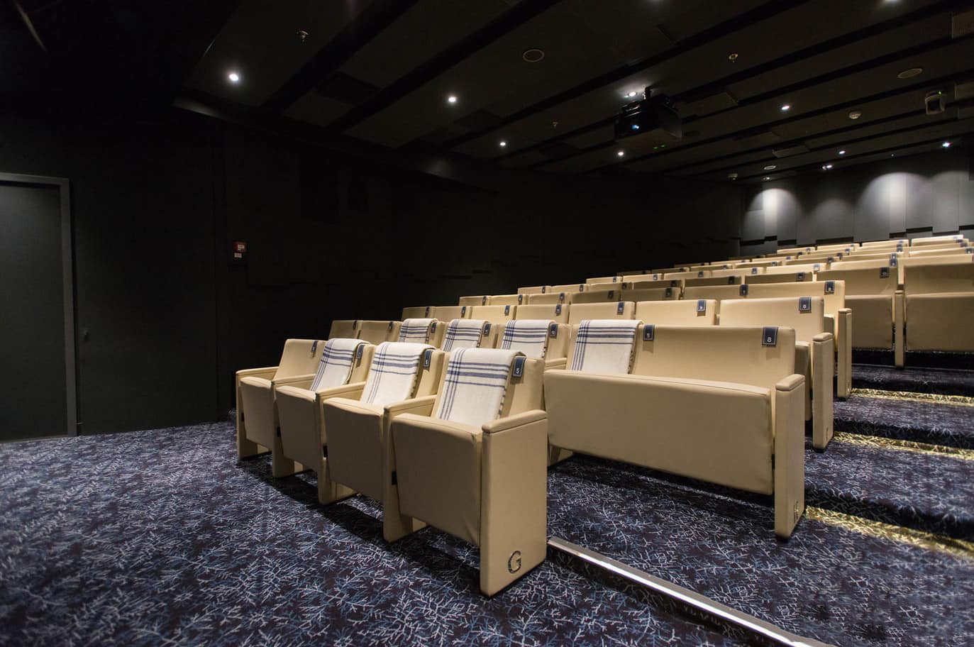 Sala cinema - Viking Star