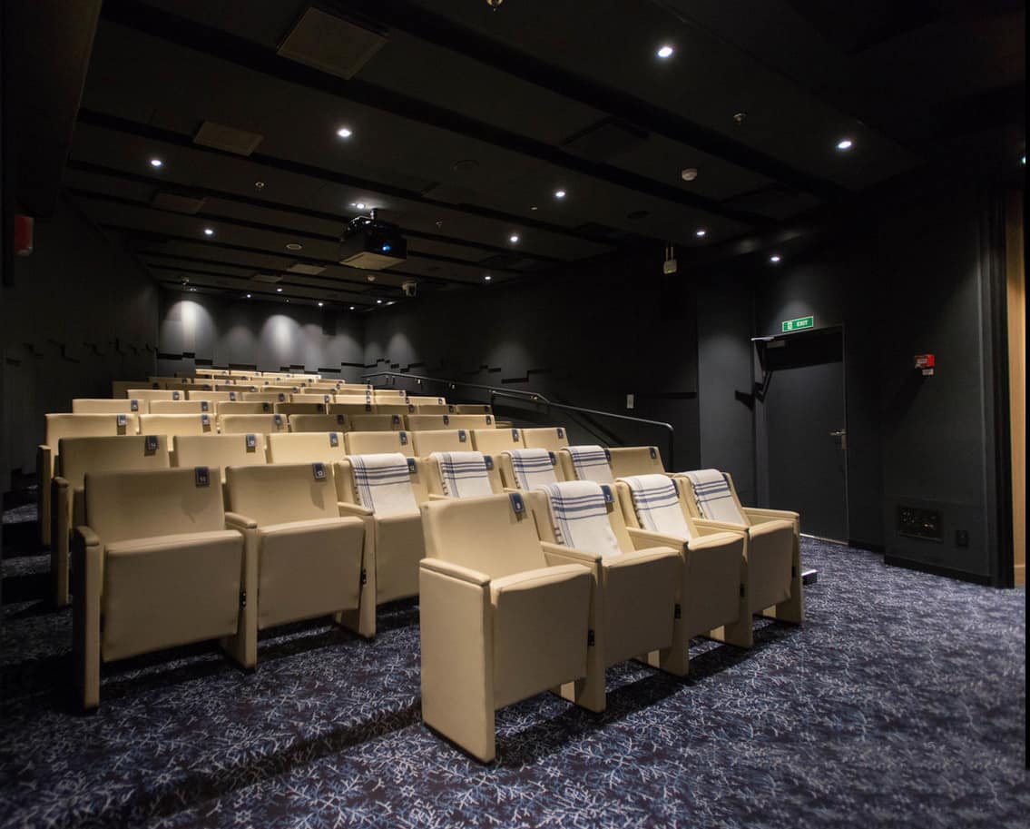 Sala cinema - Viking Star