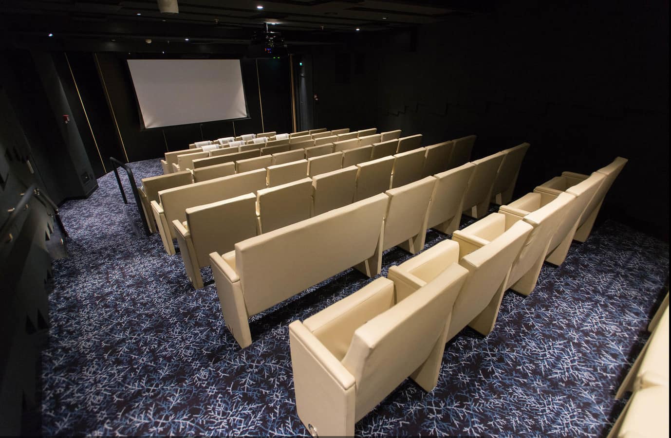Sala cinema - Viking Star